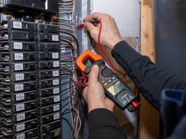 Best Electric Panel Repair  in Virden, IL